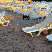 фото из отзыва ID 2573382