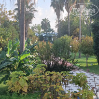 фото из отзыва ID 2573382