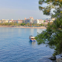 фото из отзыва ID 2573382