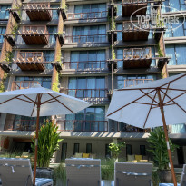 фото из отзыва ID 2573491