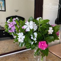 фото из отзыва ID 2573503