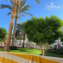 фото из отзыва ID 2573503