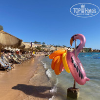 фото из отзыва ID 2573503