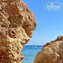 фото из отзыва ID 2573503