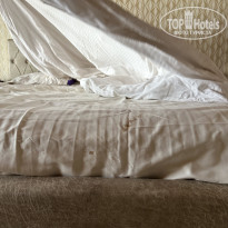 фото из отзыва ID 2573525