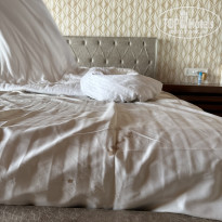 фото из отзыва ID 2573525