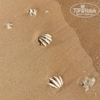 фото из отзыва ID 2573503