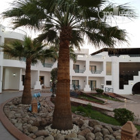 фото из отзыва ID 2572209