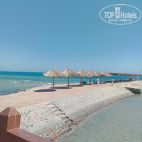 фото из отзыва ID 2573361