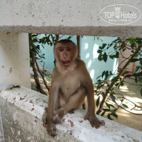 фото из отзыва ID 2573717