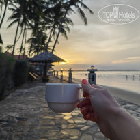 фото из отзыва ID 2573759