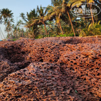 фото из отзыва ID 2573891