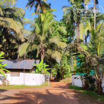 фото из отзыва ID 2573891