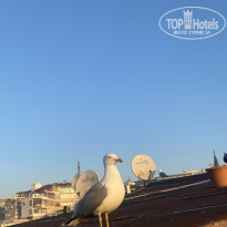 фото из отзыва ID 2574109