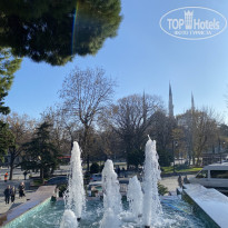 фото из отзыва ID 2574109