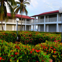 фото из отзыва ID 2574161