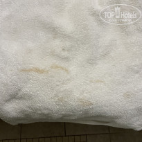 фото из отзыва ID 2574294