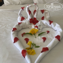 фото из отзыва ID 2574336