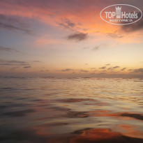 фото из отзыва ID 2574686