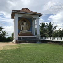 фото из отзыва ID 2574837