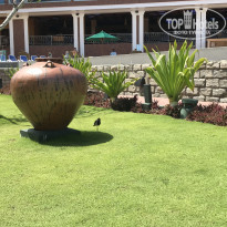 фото из отзыва ID 2574837