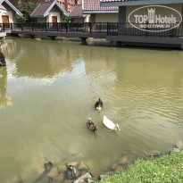 фото из отзыва ID 2574837