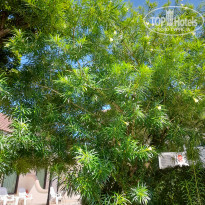 фото из отзыва ID 2574943