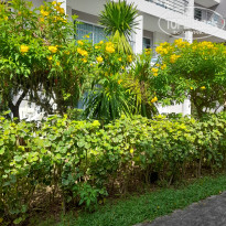 фото из отзыва ID 2574943