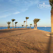 фото из отзыва ID 2574918