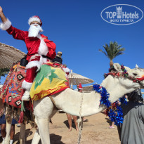 фото из отзыва ID 2574918