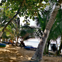 фото из отзыва ID 2574994