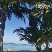 фото из отзыва ID 2574994