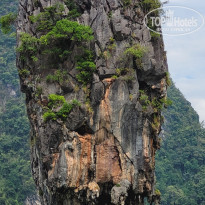 фото из отзыва ID 2575058