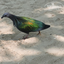 фото из отзыва ID 2575058