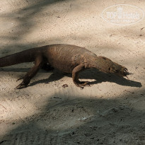 фото из отзыва ID 2575058