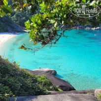 фото из отзыва ID 2575058