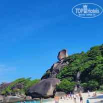 фото из отзыва ID 2575058