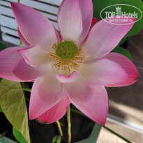 фото из отзыва ID 2575058