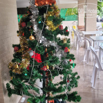 фото из отзыва ID 2575058