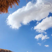 фото из отзыва ID 2575138