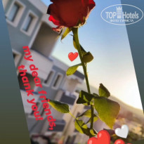 фото из отзыва ID 2574961