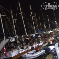 фото из отзыва ID 2574961