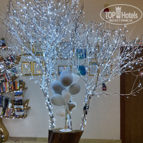 фото из отзыва ID 2575174