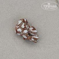 фото из отзыва ID 2575174