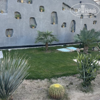 фото из отзыва ID 2575492