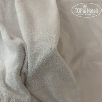 фото из отзыва ID 2575493