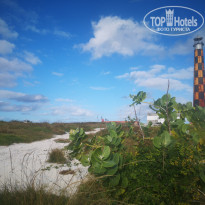 фото из отзыва ID 2575539