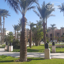 фото из отзыва ID 2575557