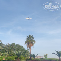 фото из отзыва ID 2575690