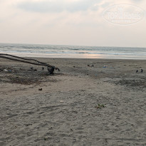 фото из отзыва ID 2575696